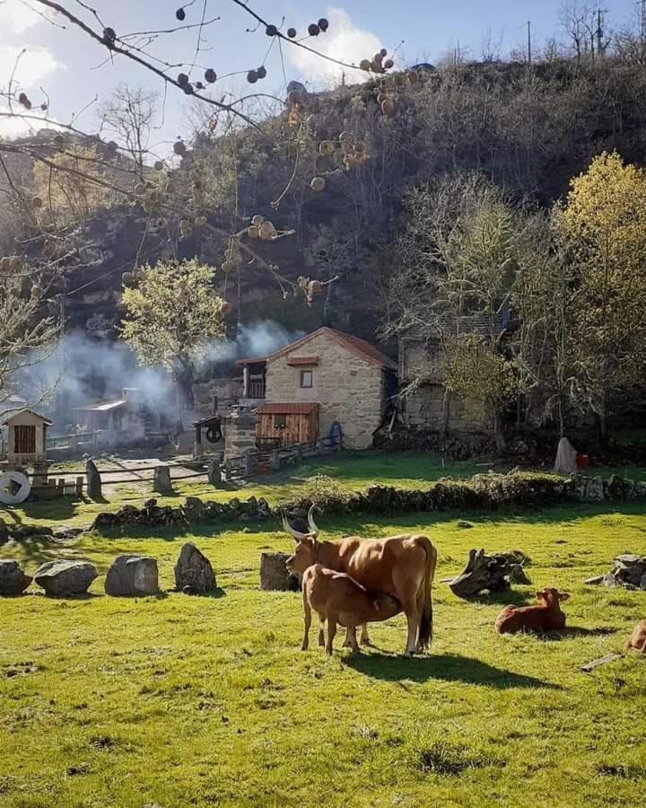 Aldeia De Pontes - Castro Laboreiro Exteriör bild